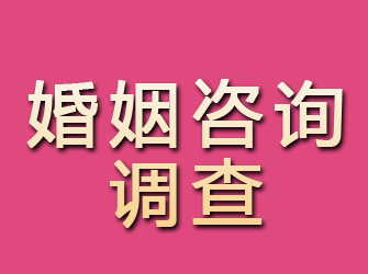 武鸣婚姻咨询调查